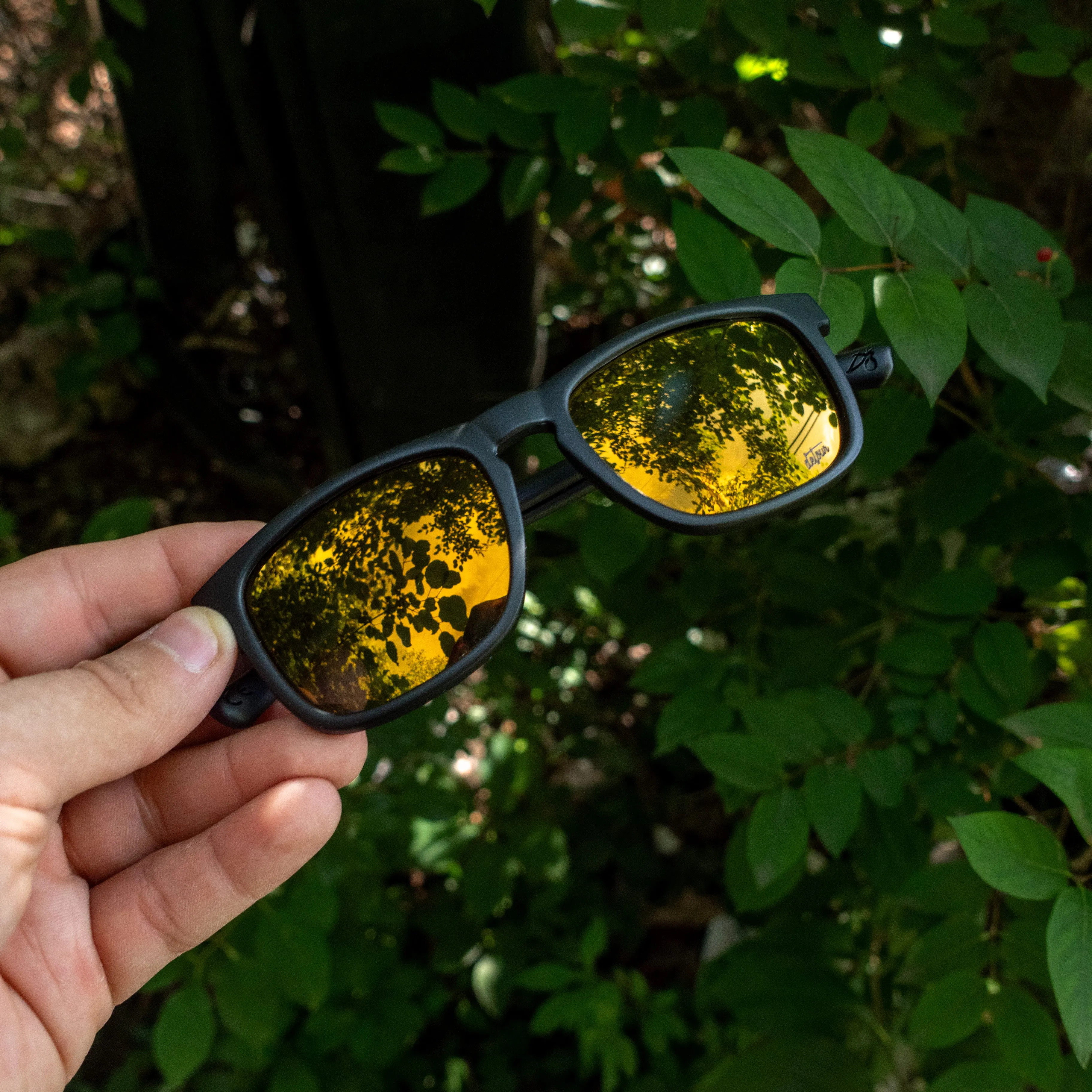 Floaties - Matte Black - 24k Gold Polarized