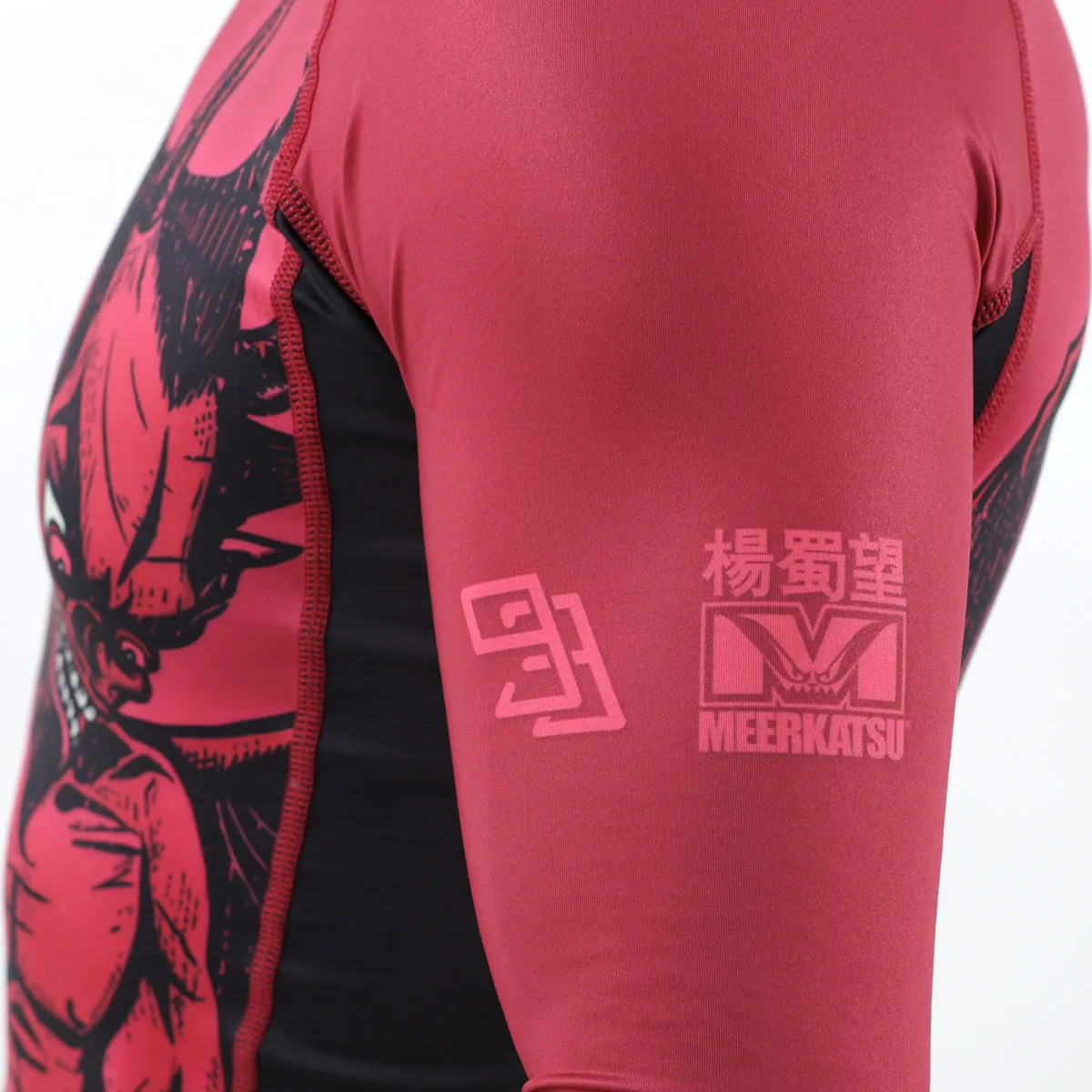 HELL HOOKS 2.0 Men's Rash Guard - Long Sleeve