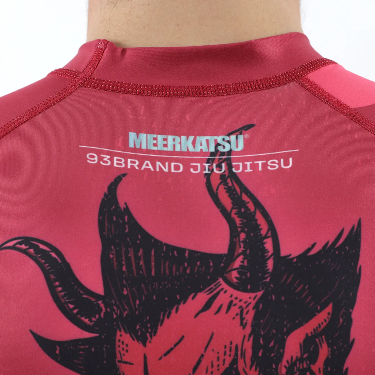 HELL HOOKS 2.0 Men's Rash Guard - Long Sleeve