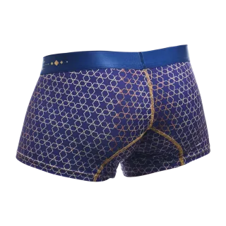 Male Basics Hipster Men's Trunk Harmony Blue