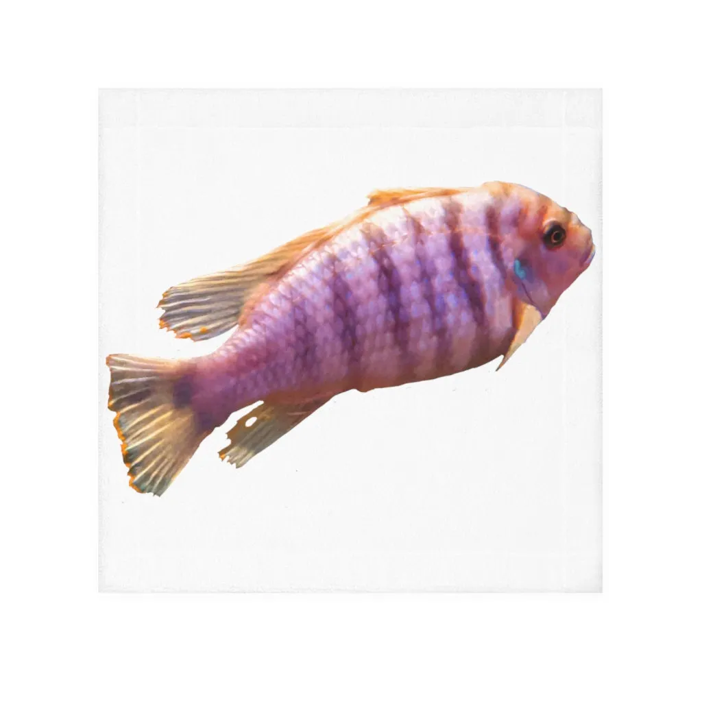 Purple Fish Face Towel