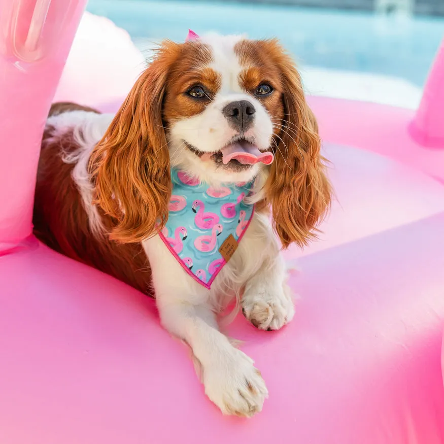 summer dog bandana - float-mingo - last one!