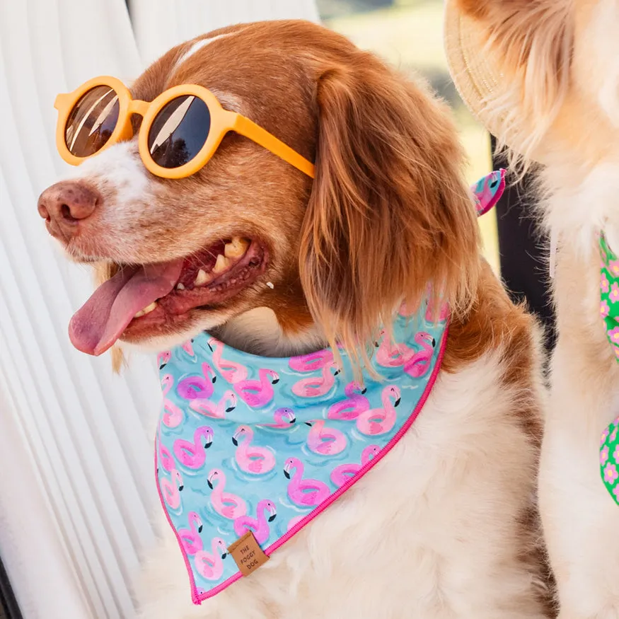 summer dog bandana - float-mingo - last one!