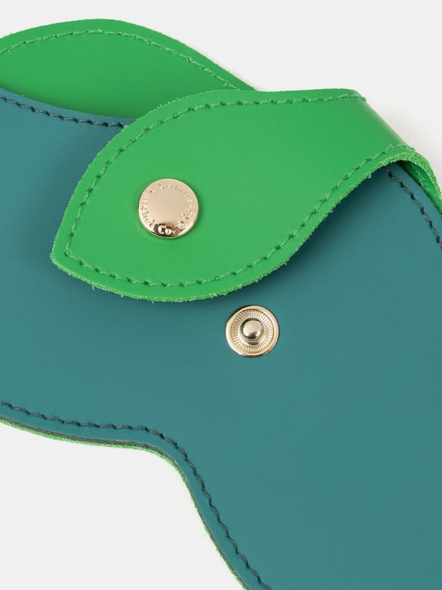 The Sunglasses Case - Apple Green & Lagoon